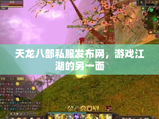 天龙八部私服发布网，游戏江湖的另一面