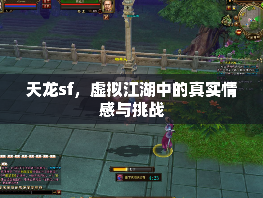 天龙sf，虚拟江湖中的真实情感与挑战