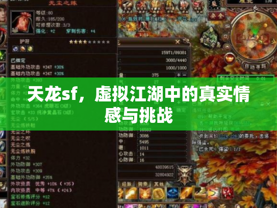 天龙sf，虚拟江湖中的真实情感与挑战