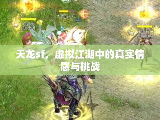 天龙sf，虚拟江湖中的真实情感与挑战