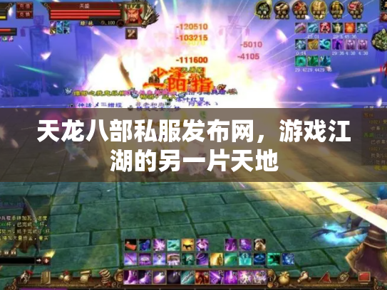 天龙八部私服发布网，游戏江湖的另一片天地