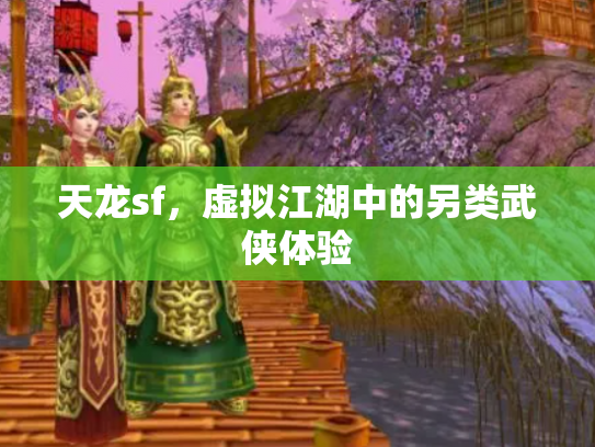 天龙sf，虚拟江湖中的另类武侠体验