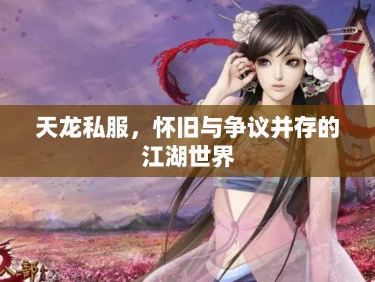 天龙私服，怀旧与争议并存的江湖世界