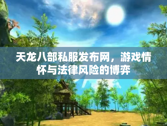 天龙八部私服发布网，游戏情怀与法律风险的博弈