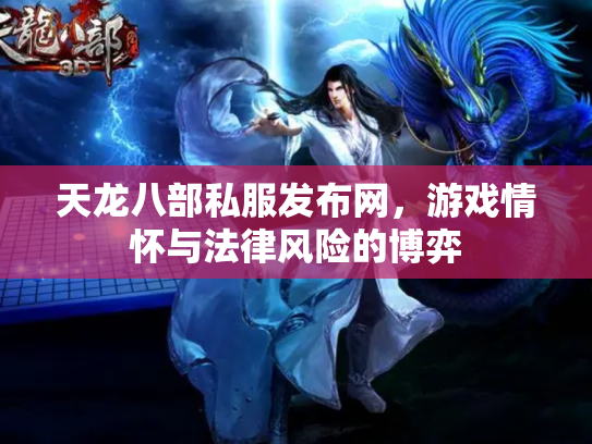 天龙八部私服发布网，游戏情怀与法律风险的博弈