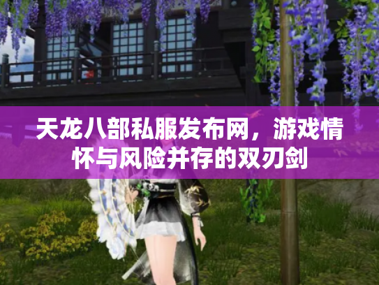 天龙八部私服发布网，游戏情怀与风险并存的双刃剑