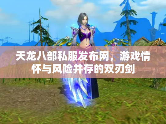 天龙八部私服发布网，游戏情怀与风险并存的双刃剑