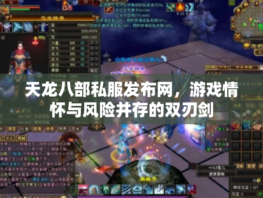天龙八部私服发布网，游戏情怀与风险并存的双刃剑
