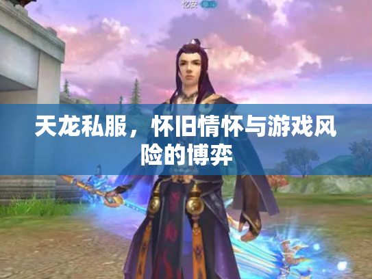 天龙私服，怀旧情怀与游戏风险的博弈
