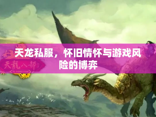 天龙私服，怀旧情怀与游戏风险的博弈
