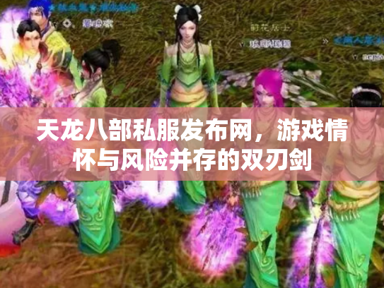 天龙八部私服发布网，游戏情怀与风险并存的双刃剑