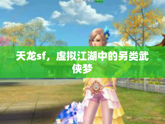 天龙sf，虚拟江湖中的另类武侠梦