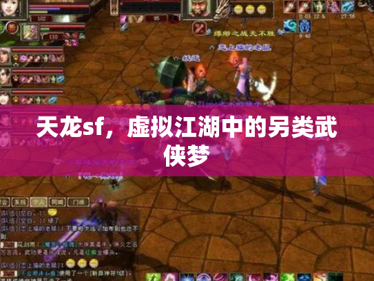 天龙sf，虚拟江湖中的另类武侠梦