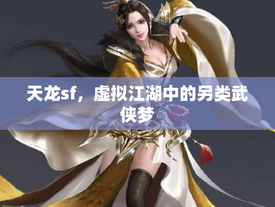 天龙sf，虚拟江湖中的另类武侠梦