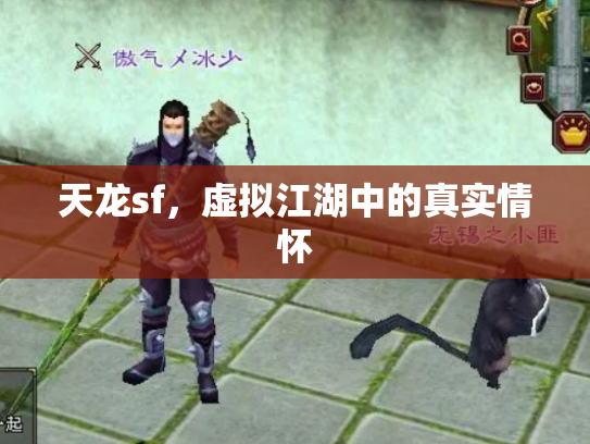 天龙sf，虚拟江湖中的真实情怀