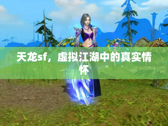天龙sf，虚拟江湖中的真实情怀