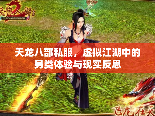 天龙八部私服，虚拟江湖中的另类体验与现实反思