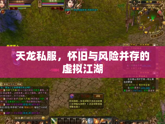 天龙私服，怀旧与风险并存的虚拟江湖