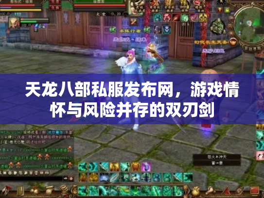 天龙八部私服发布网，游戏情怀与风险并存的双刃剑