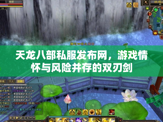 天龙八部私服发布网，游戏情怀与风险并存的双刃剑