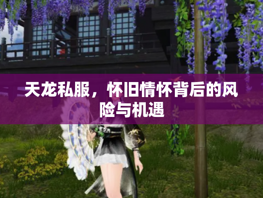 天龙私服，怀旧情怀背后的风险与机遇