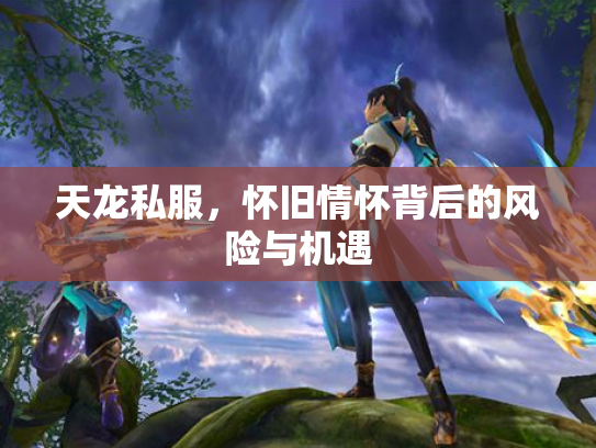天龙私服，怀旧情怀背后的风险与机遇