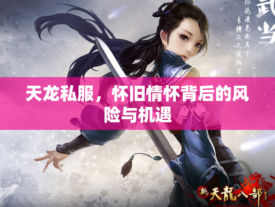 天龙私服，怀旧情怀背后的风险与机遇