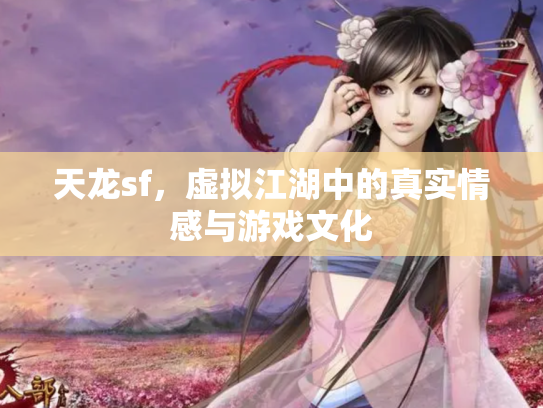天龙sf，虚拟江湖中的真实情感与游戏文化