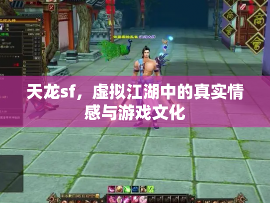天龙sf，虚拟江湖中的真实情感与游戏文化