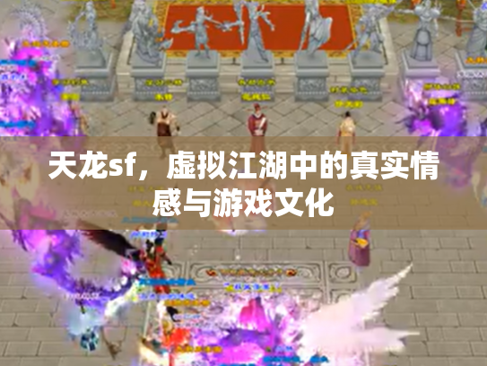 天龙sf，虚拟江湖中的真实情感与游戏文化