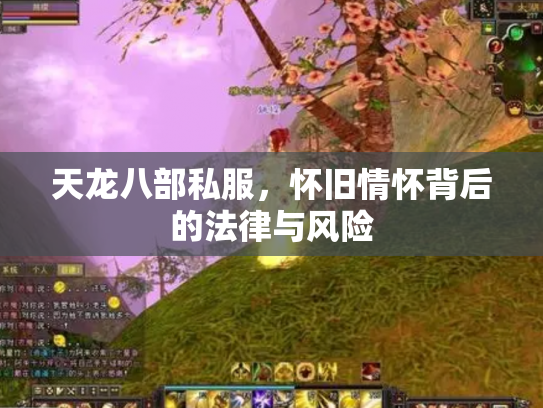天龙八部私服，怀旧情怀背后的法律与风险