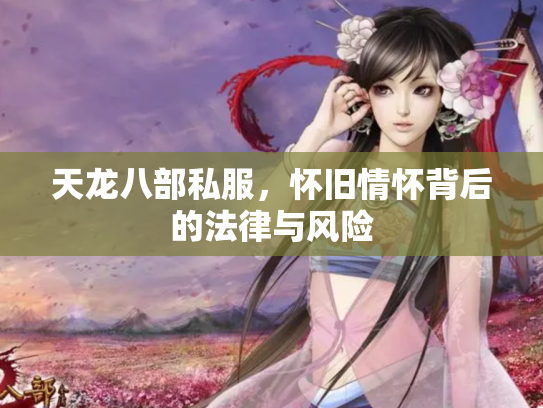 天龙八部私服，怀旧情怀背后的法律与风险