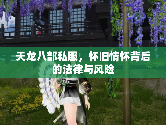 天龙八部私服，怀旧情怀背后的法律与风险