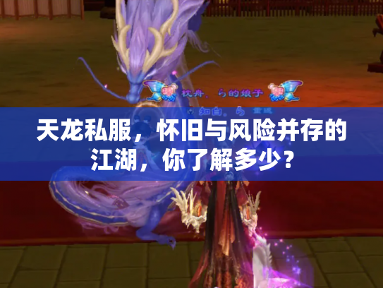 天龙私服，怀旧与风险并存的江湖，你了解多少？