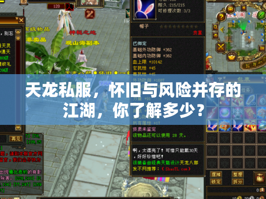 天龙私服，怀旧与风险并存的江湖，你了解多少？