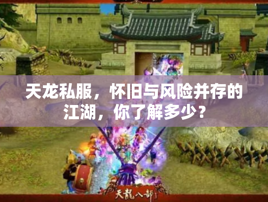 天龙私服，怀旧与风险并存的江湖，你了解多少？