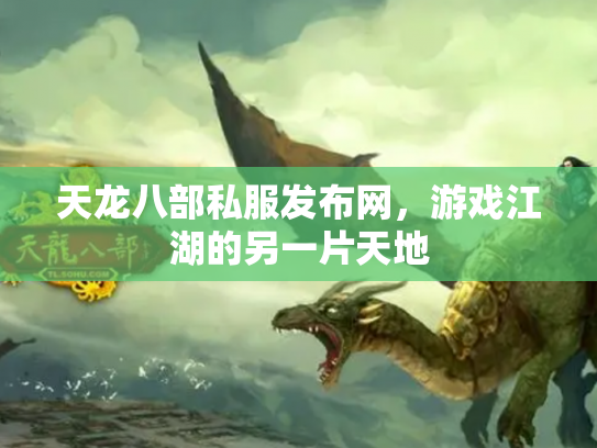 天龙八部私服发布网，游戏江湖的另一片天地