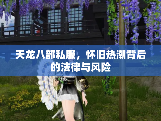 天龙八部私服，怀旧热潮背后的法律与风险