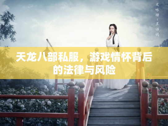 天龙八部私服，游戏情怀背后的法律与风险