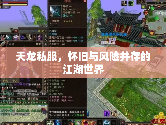 天龙私服，怀旧与风险并存的江湖世界