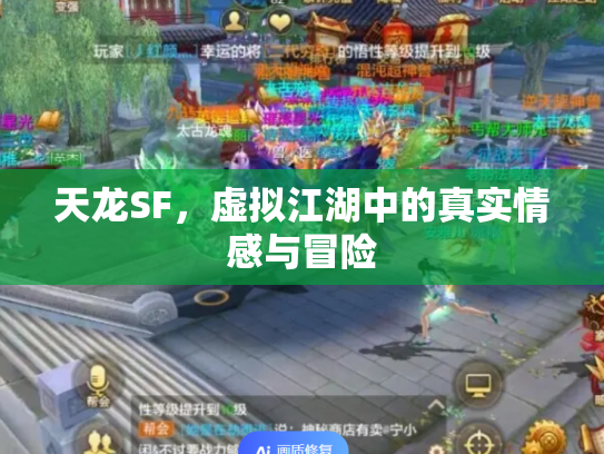 天龙SF，虚拟江湖中的真实情感与冒险