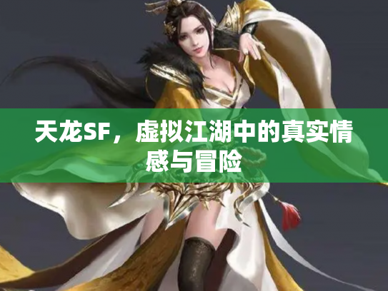 天龙SF，虚拟江湖中的真实情感与冒险