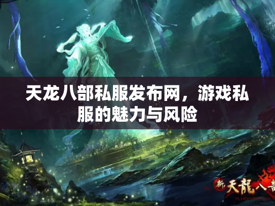 天龙八部私服发布网，游戏私服的魅力与风险