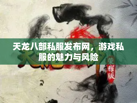 天龙八部私服发布网，游戏私服的魅力与风险