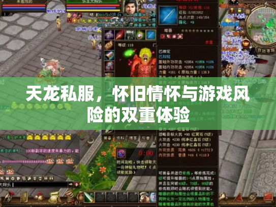 天龙私服，怀旧情怀与游戏风险的双重体验