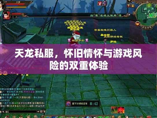 天龙私服，怀旧情怀与游戏风险的双重体验