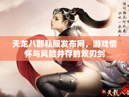 天龙八部私服发布网，游戏情怀与风险并存的双刃剑