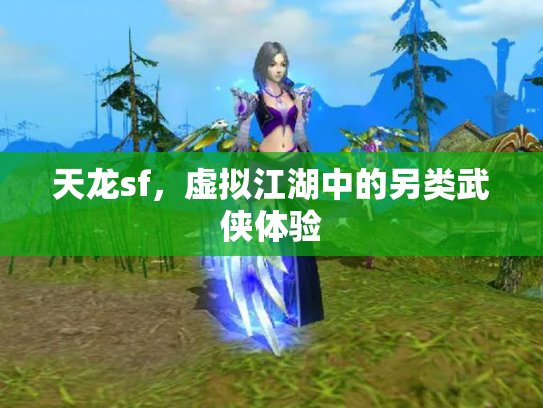 天龙sf，虚拟江湖中的另类武侠体验
