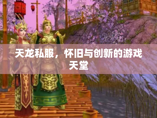 天龙私服，怀旧与创新的游戏天堂