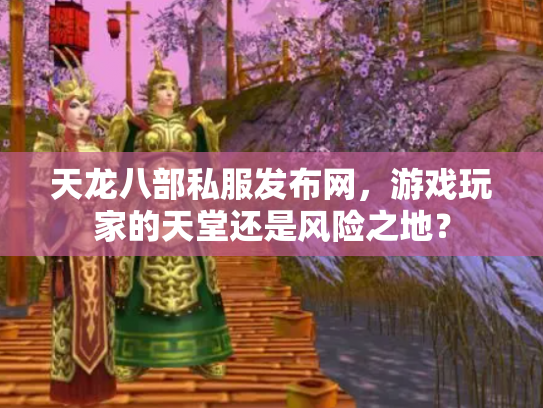 天龙八部私服发布网，游戏玩家的天堂还是风险之地？